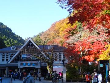 紅葉の高尾山